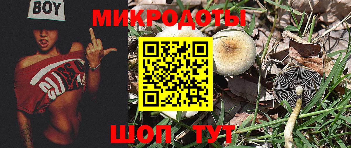 Галлюциногенные грибы Cubensis  Вход с VPN  Галлюциногенные грибы GOLDEN TEACHER  Шуя 